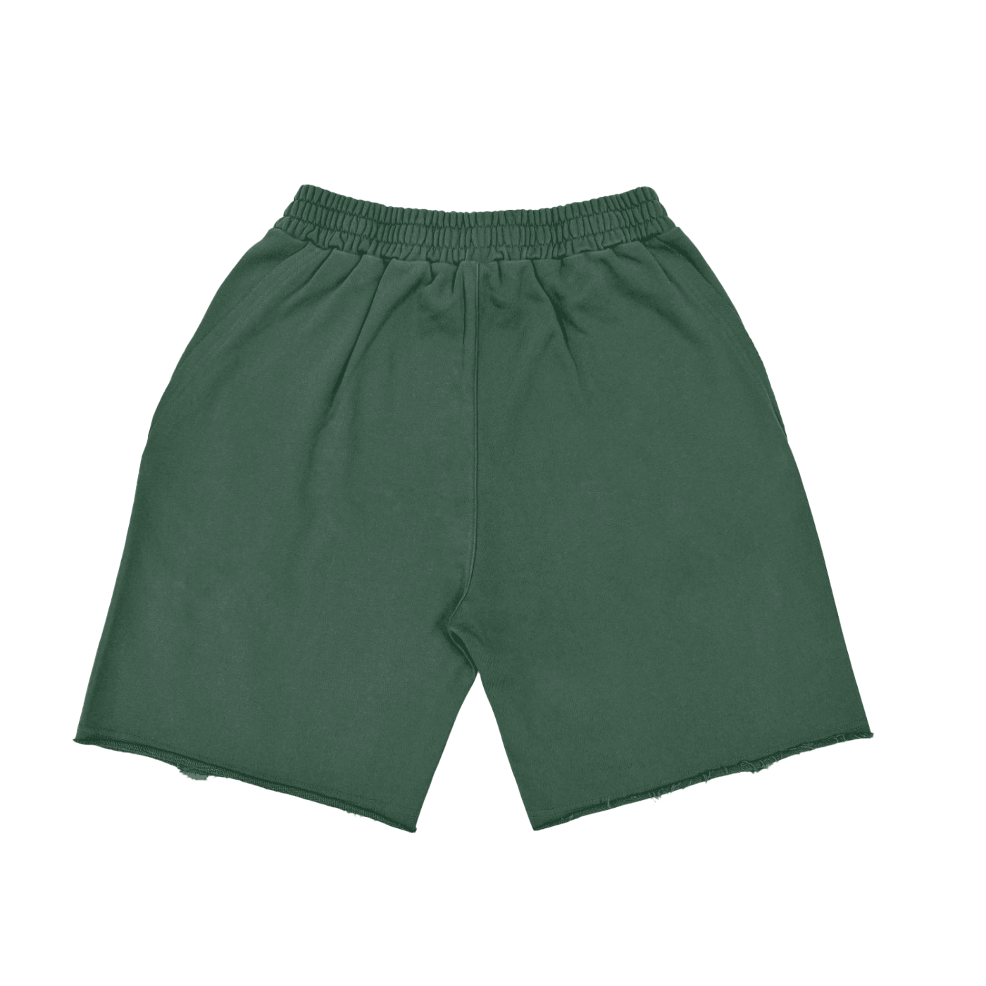 VIE V SHORTS